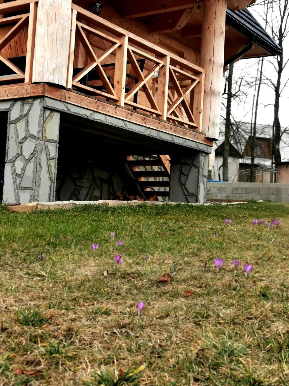 Chalpy Pod Ostryszem Vila Ciche  Exterior foto